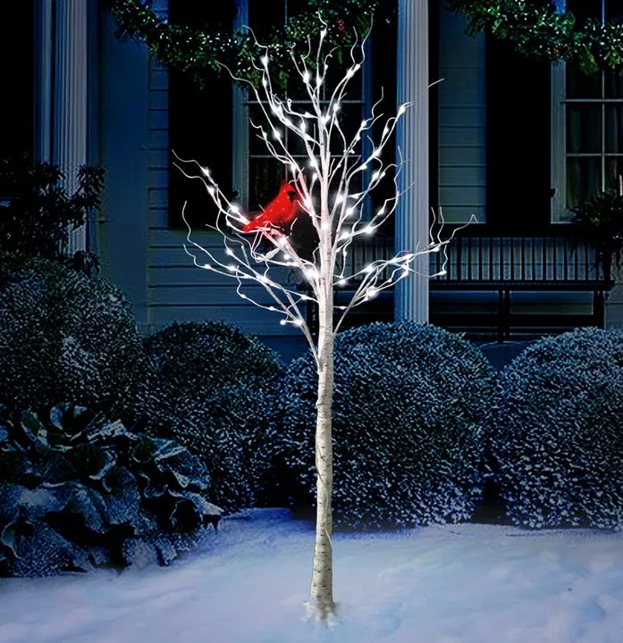 6' Twinkling LED Birch Tree with LED Cardinal