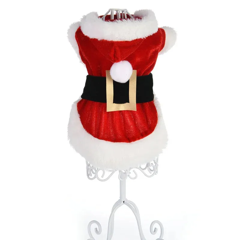 Santa Christmas Costume for Small Dogs and Cats
