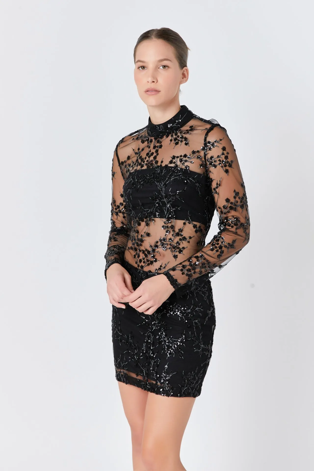 Sequins Embroidered Mini Dress