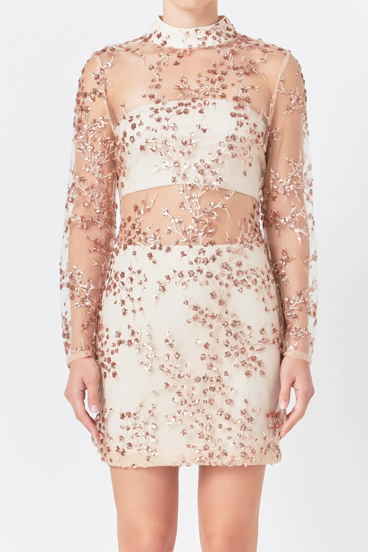 Sequins Embroidered Mini Dress