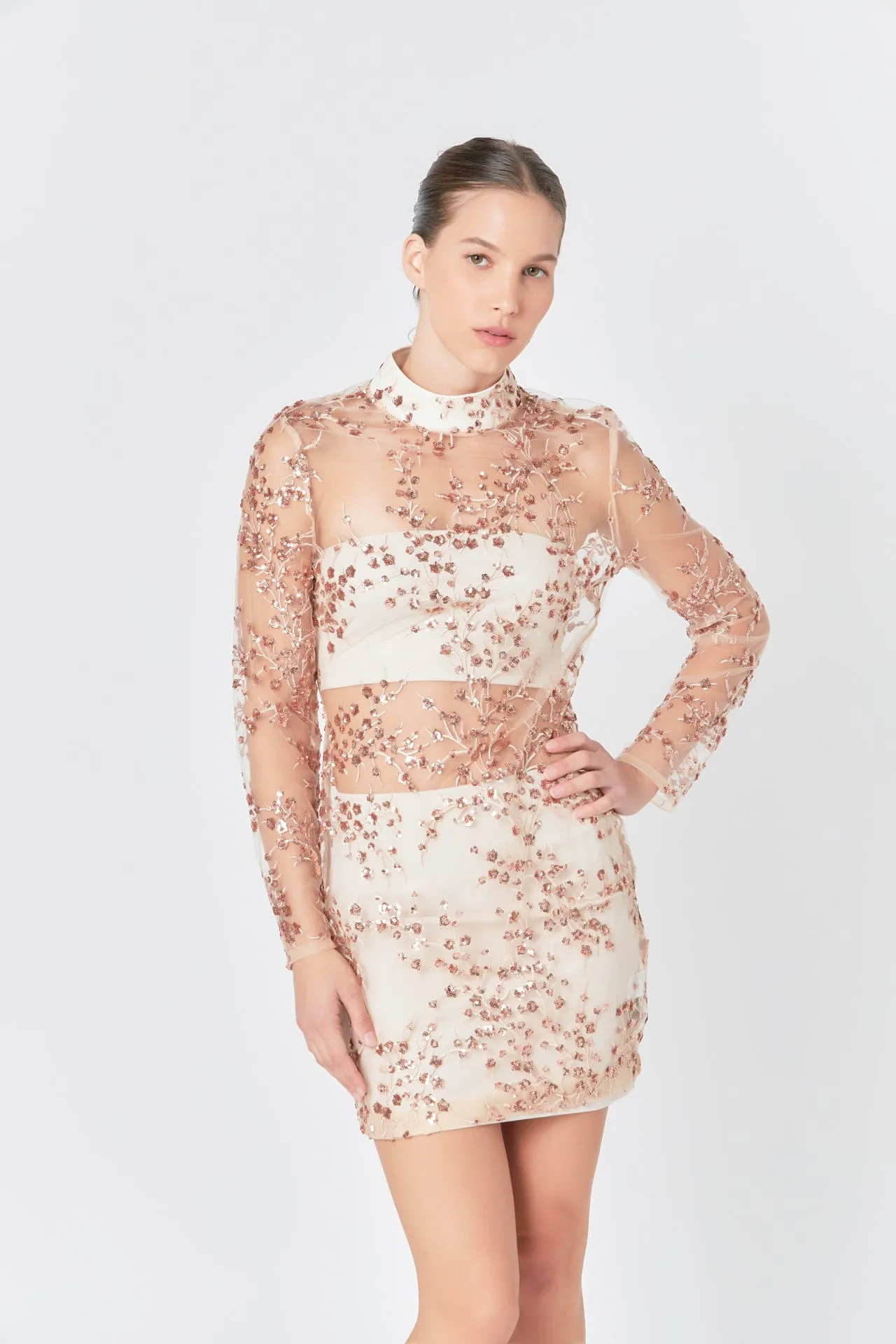 Sequins Embroidered Mini Dress