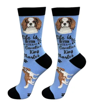 Socks  Cavalier King Charles     840-18