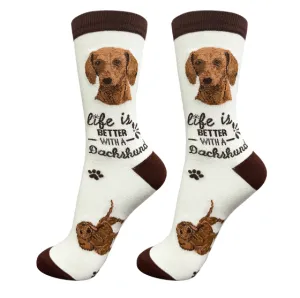 Socks  Dachshund Red    840-13