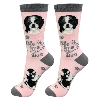 Socks  Shih Tzu Black/White Dog   840-87b